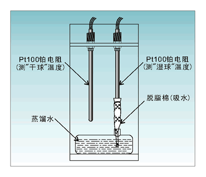 TH135 Pt100 wet-and-dry bulb measurement